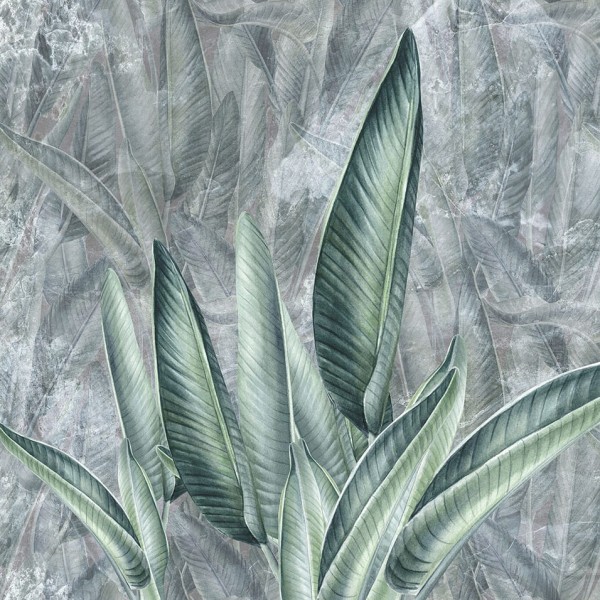 tapeta dla dziecka malumi liście dżunglowe Jungle Leaves - Grey