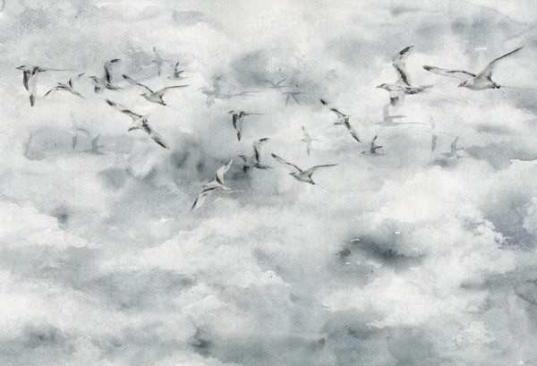 tapeta dla dziecka malumi seagulls SEAGULLS