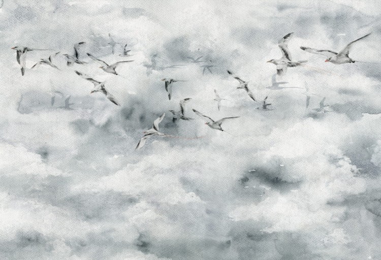 tapeta dla dziecka malumi seagulls SEAGULLS