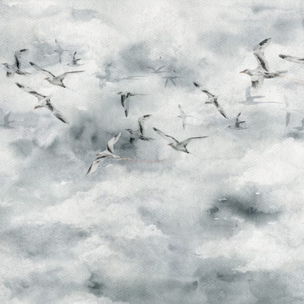 tapeta dla dziecka malumi mewy SEAGULLS