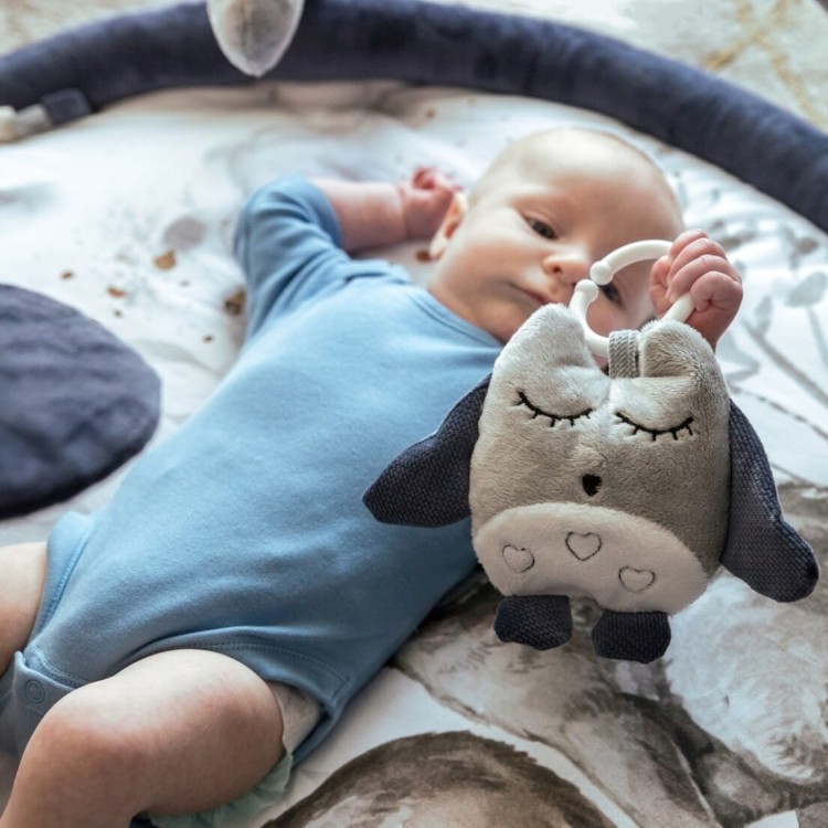 mata edukacyjna Wolf Moonlight dla niemowląt