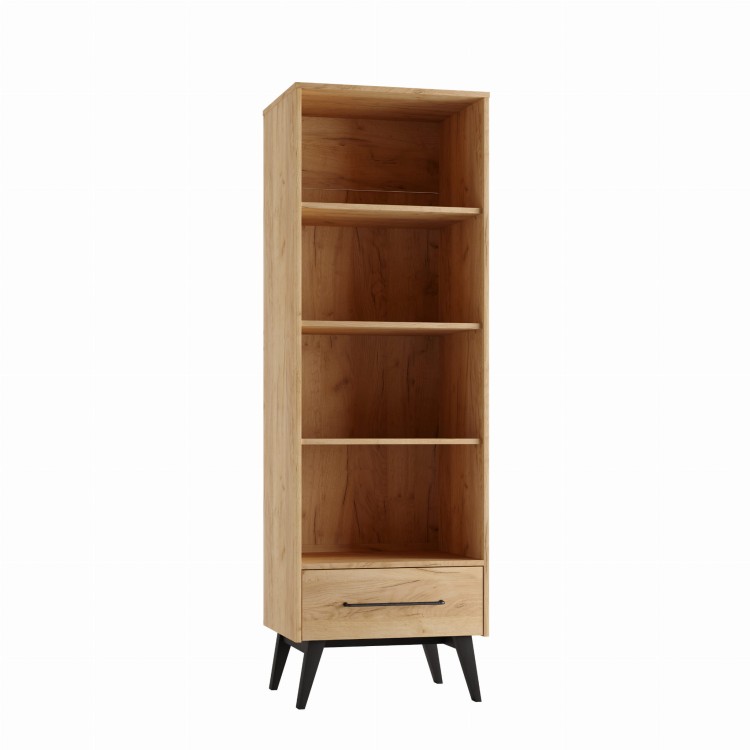 Retro_bookcase_oak_1.JPG
