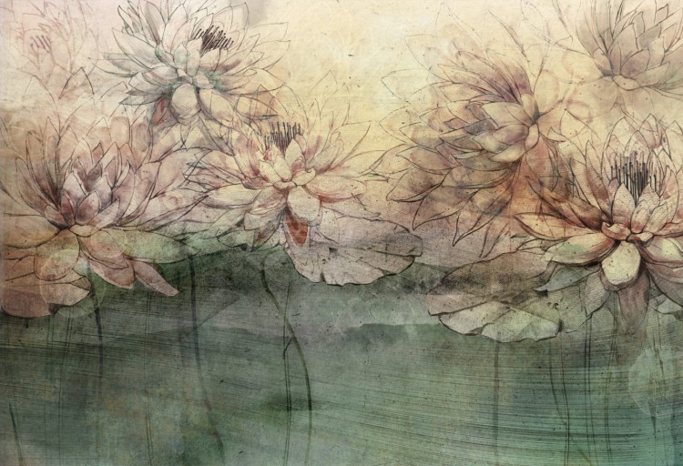 water-lilies-orange-tapeta-do-salonu-z-motywem-lilii-wodnych-2.jpg