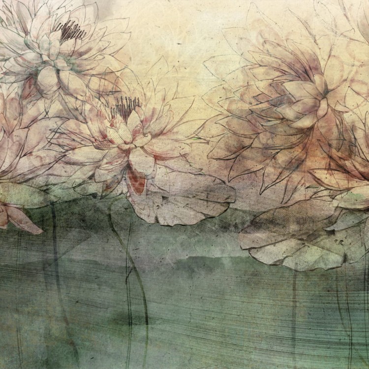 water-lilies-orange-tapeta-do-sa.jpg