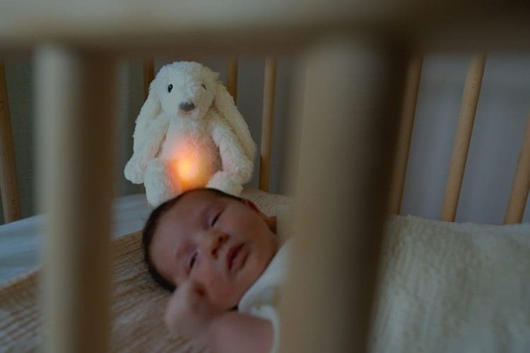 zazu-szumiaca-lampka-krolik.jpg