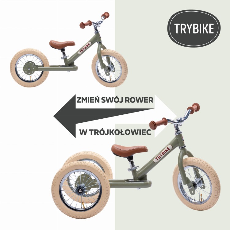TurnBikeIntoTrike.jpg
