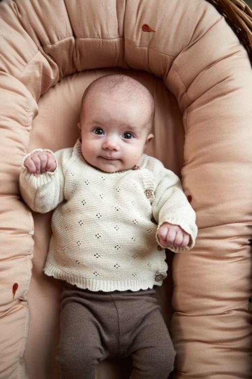 121d5ea73a46e6ef83c3571040ad11d2