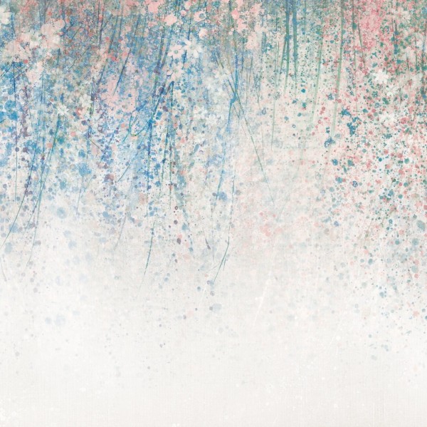 tapeta-malumi-daisy-blue.jpg