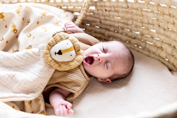 fecbd7222f18b5c050ad9835a145e897