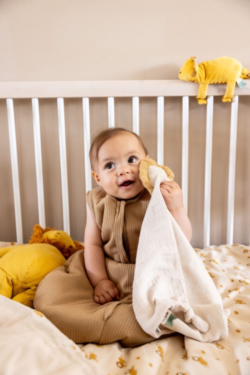 73ec3856c9d0cd423bf7aa2992f6389c