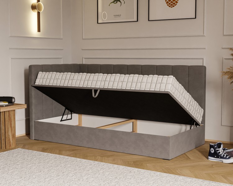 Nemo Terra 26(2).jpg