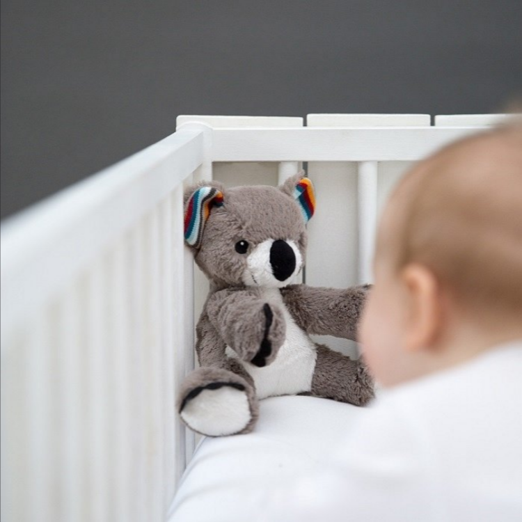 Zazu COCO Szumiąca Przytulanka Koala SZUMIŚ