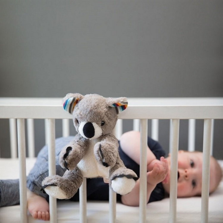 Zazu COCO Szumiąca Przytulanka Koala SZUMIŚ