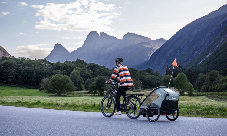 Hamax Outback Next Dusty Green podwójna przyczepka rowerowa dla dzieci