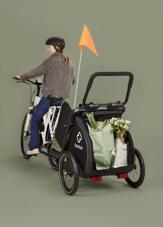 Hamax - Przyczepka rowerowa dla psa - Pluto M do 35 kg - Green / Black