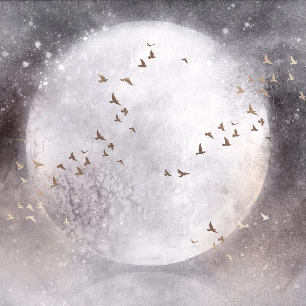 Tapeta MOONLIGHT FLY - warm grey - tapeta salonowa z księżycem i ptakami
