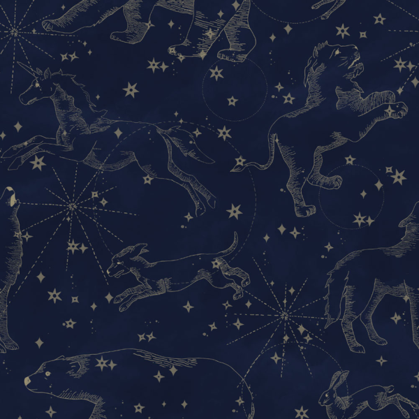 Tapeta do pokoju dla dziecka Constellations Dark