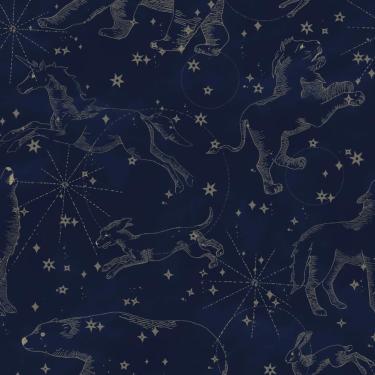 Tapeta do pokoju dla dziecka Constellations Dark