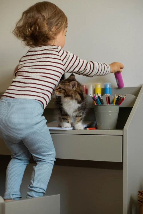 pol_pl_Biurko-Montessori-Book-Nook-sage-kompaktowe-biurko-dla-dzieci-1168_9.jpg