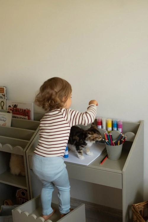 pol_pl_Biurko-Montessori-Book-Nook-sage-kompaktowe-biurko-dla-dzieci-1168_8.jpg