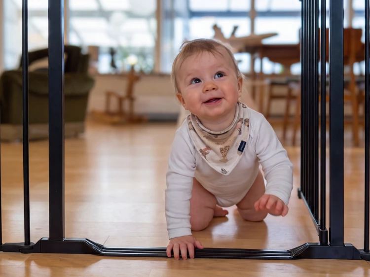 Screenshot 2026-10-15 at 13-22-50 BabyDan - bramka ochronna Flex StepFree M czarna Czarny sklep Scandinavian Baby.png