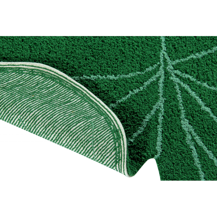 -monstera-leaf.jpg-2.png