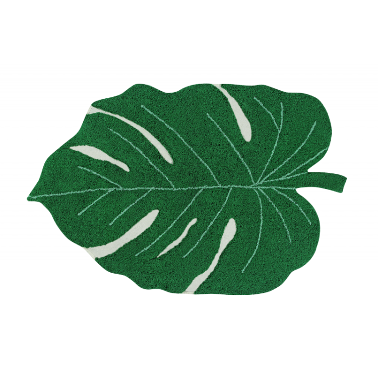 monstera-leaf.jpg.png