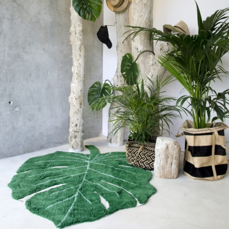 monstera-leaf.jpg.png