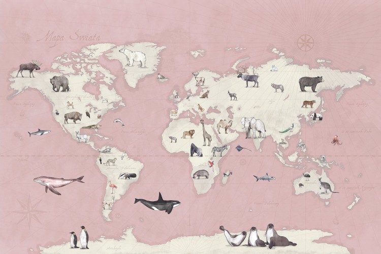 Tapeta Malumi ROSE MAPS do pokoju dziecięcego